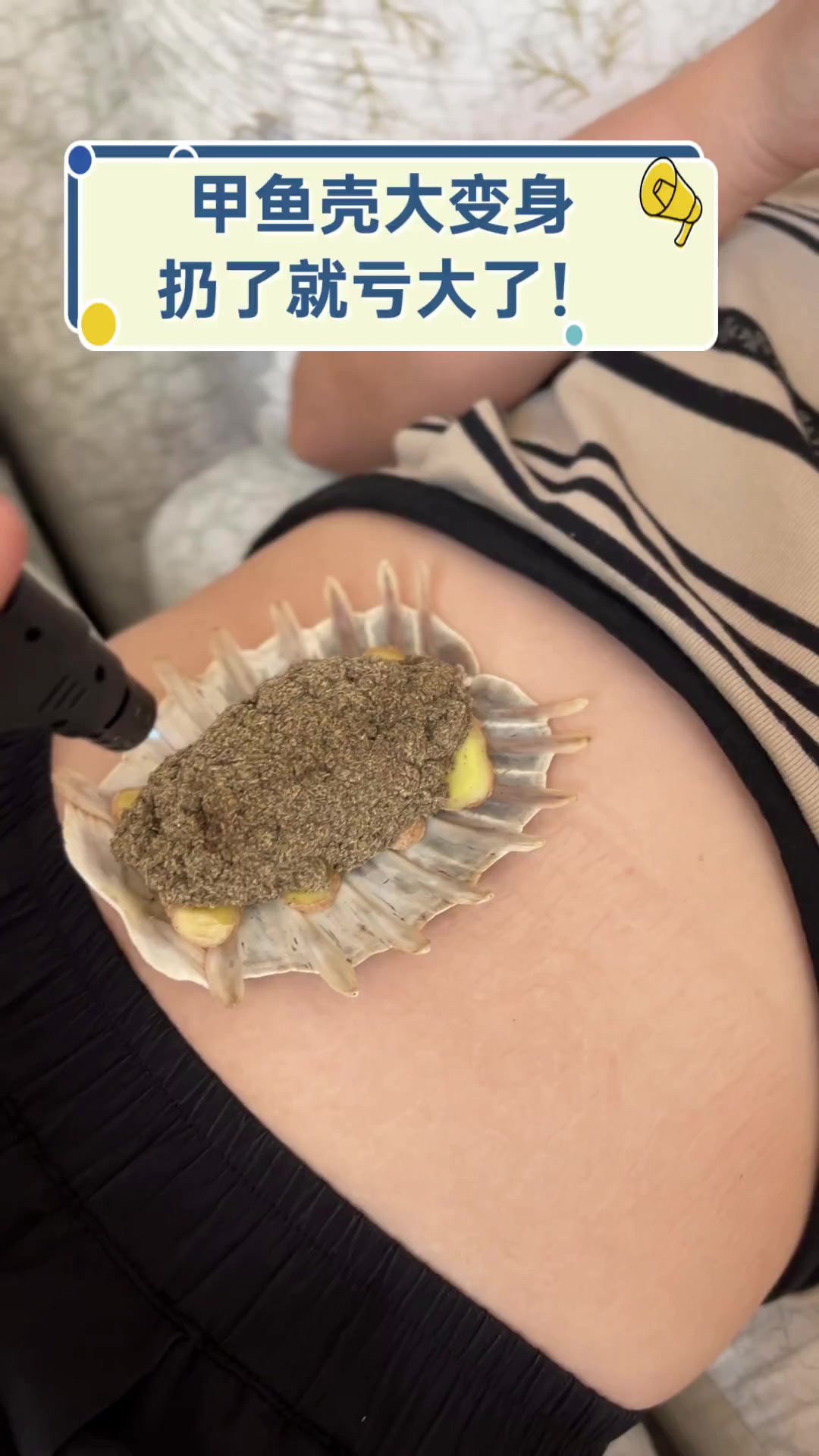甲鱼壳大变身,扔了就亏大了!