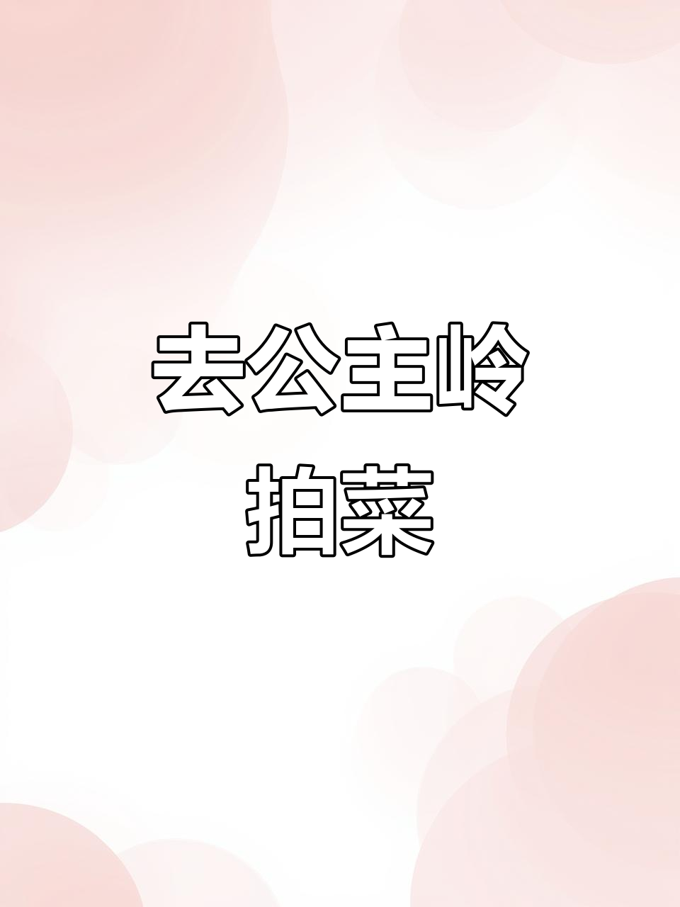 公主岭拍摄菜单大揭秘,今天去现场看看!