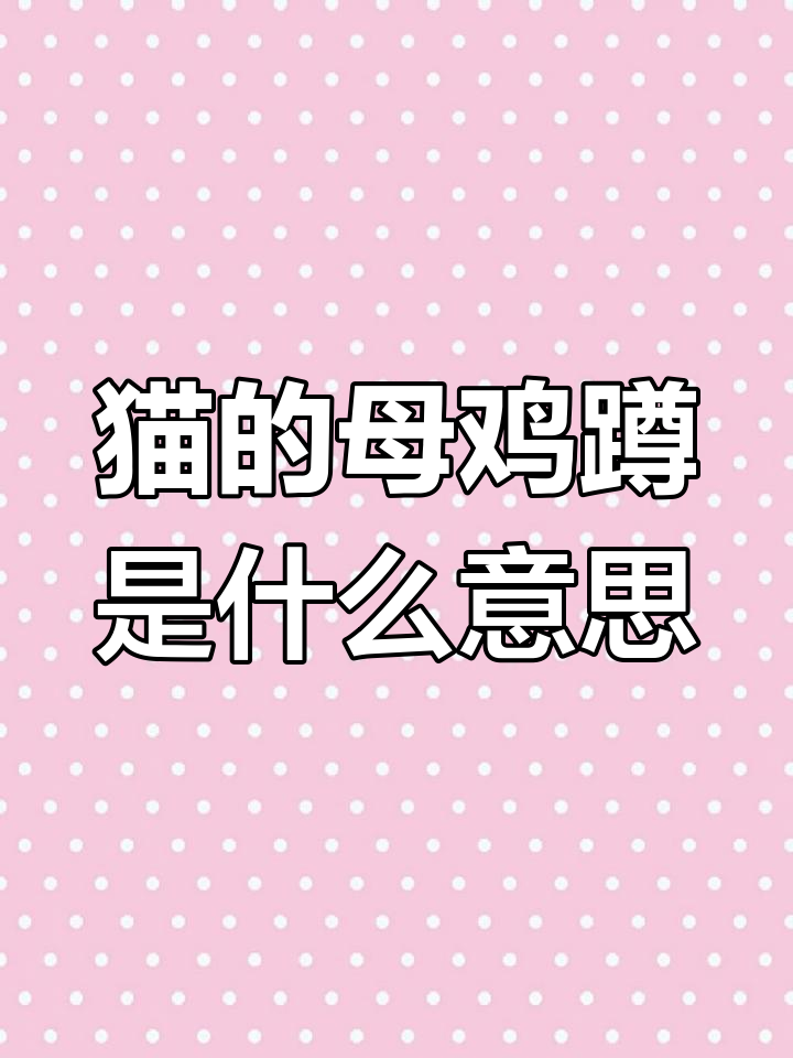 猫咪母鸡蹲是生病了吗?三种情况告诉你原因