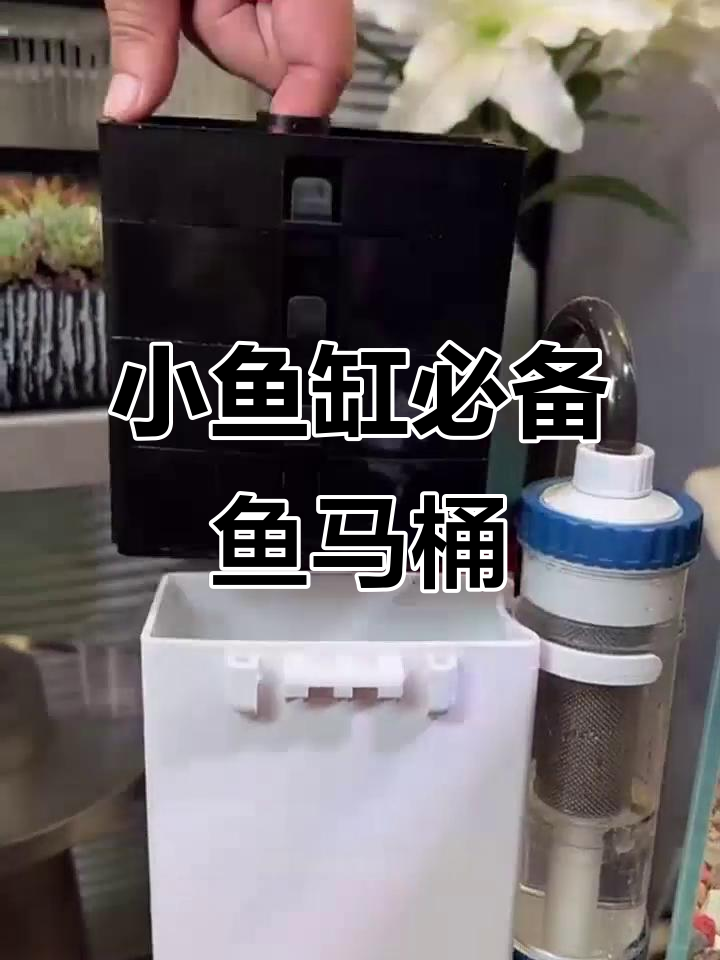 鱼马桶过滤器：四层过滤让小鱼缸水质更清新