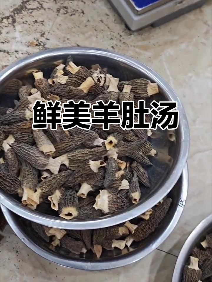 羊肚菌炖鸡汤,鲜美滋补,鸡肉嫩滑
