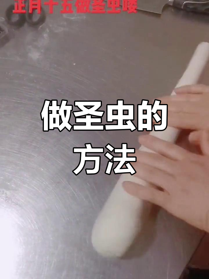 圣虫制作教程,轻松学会