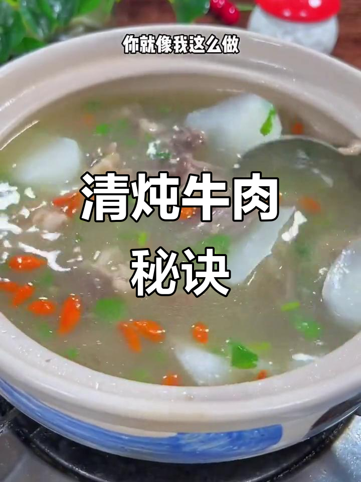 清炖牛肉萝卜,软烂入味,汤鲜美,做法超简单!