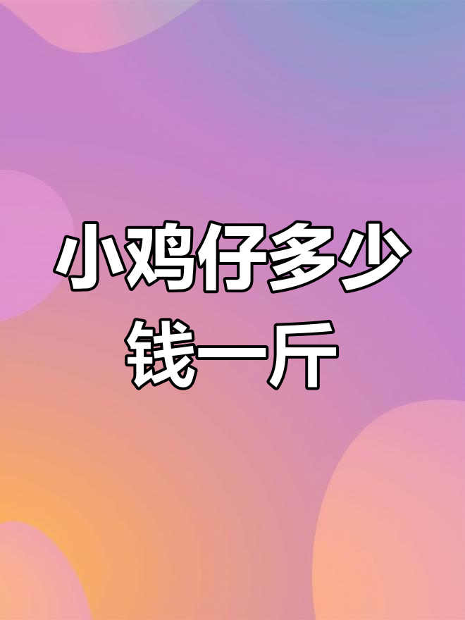 小鸡仔价格大揭秘,你们那里多少钱一斤?