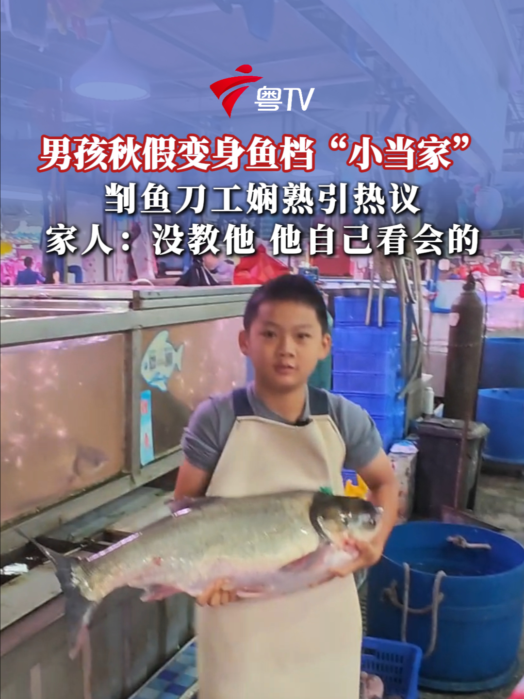 男孩秋假变身鱼档“小当家”,家长:没教他 他自己看会的