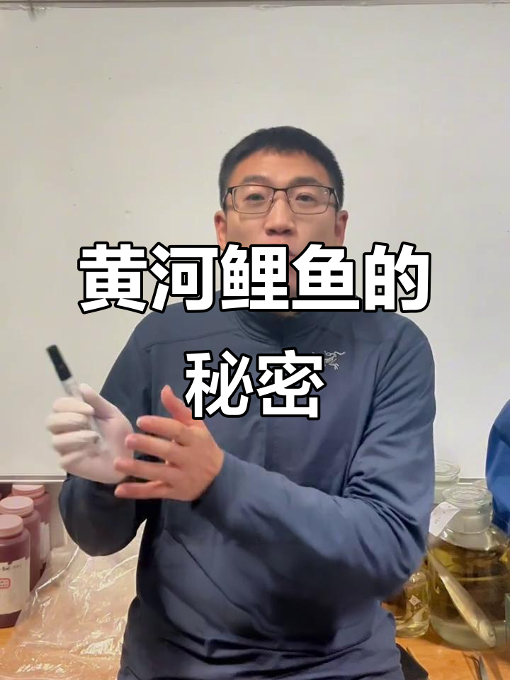 黄河大鲤鱼真相揭秘：你吃到的真的是正宗的吗？