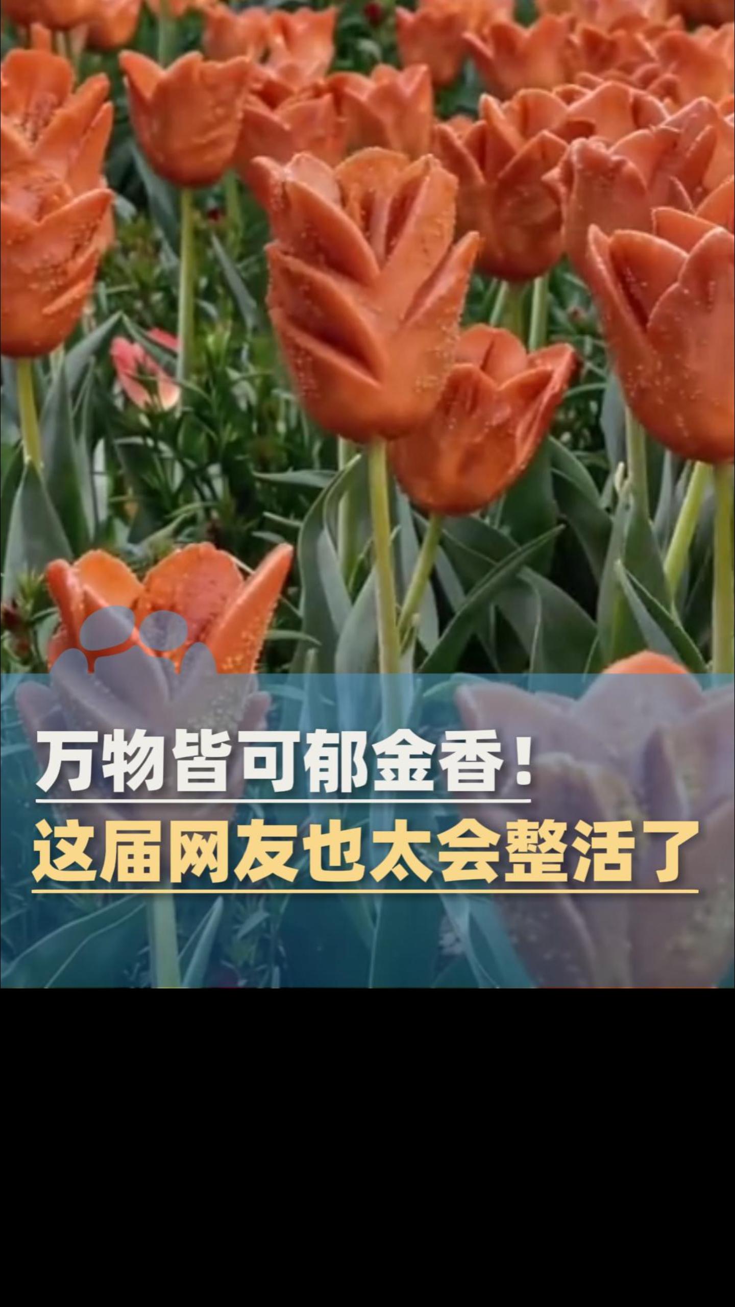 郁金香被网友玩成“美食局”,各种食材纷纷变身 “郁金香”