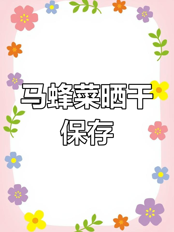 马蜂菜晒干储存技巧,健康又美味