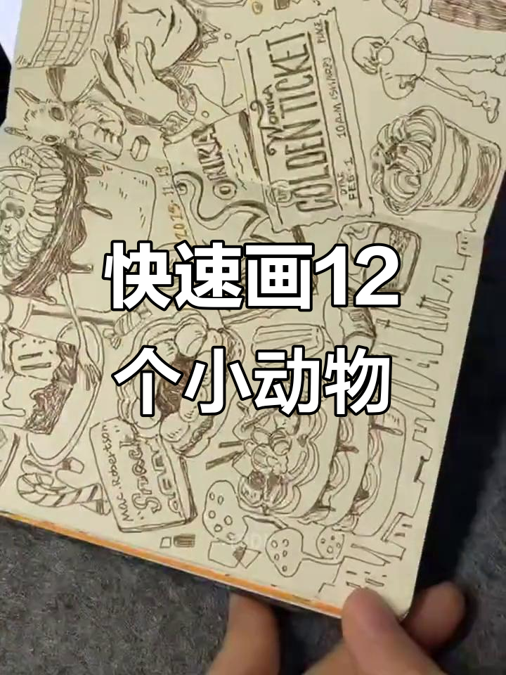 一页速写,画出12个可爱小动物