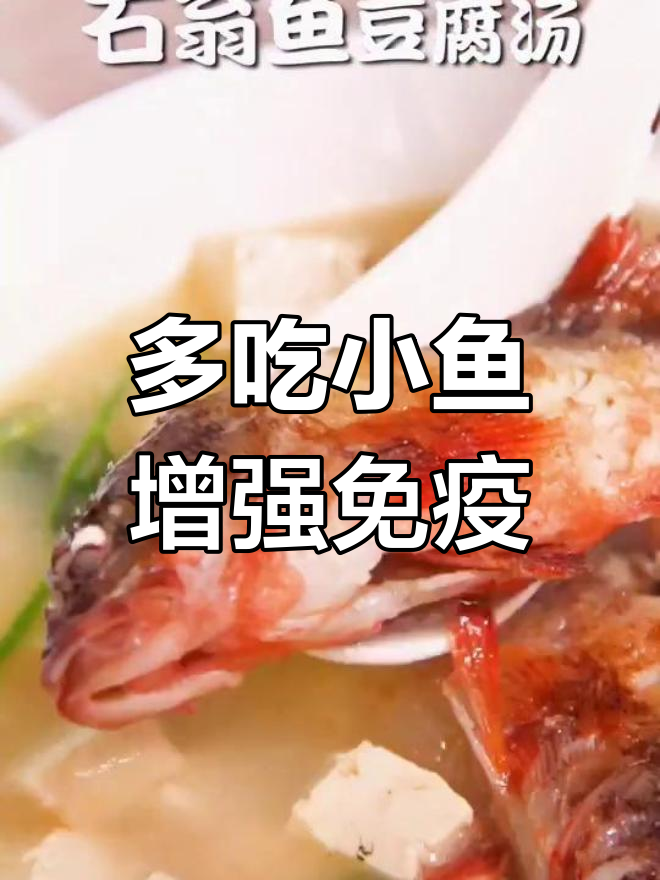 小鱼也能提高免疫力,试试这些做法!