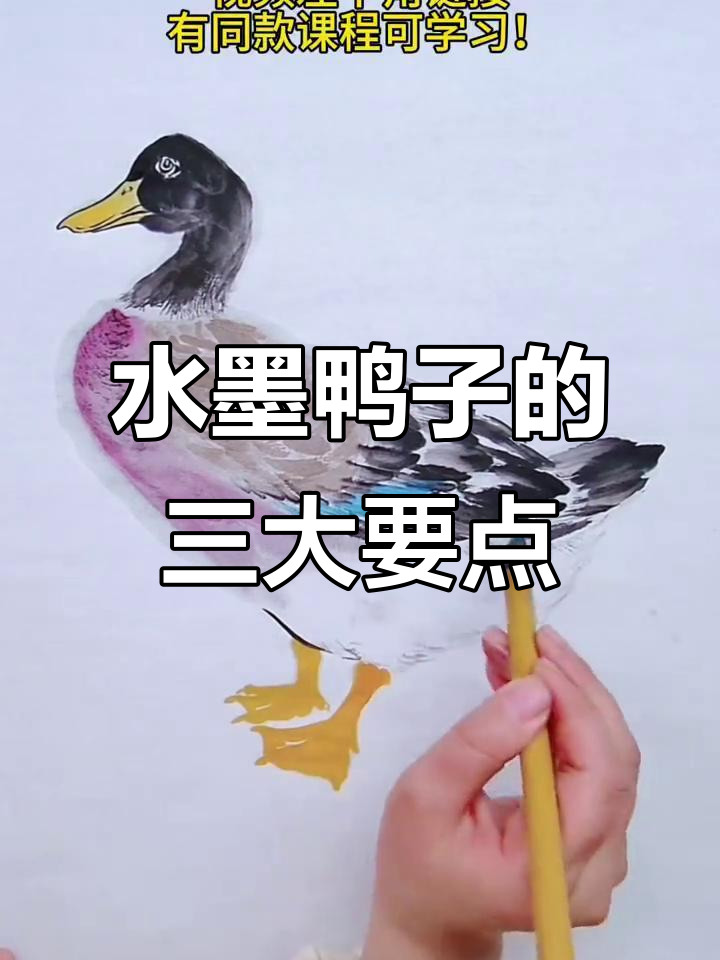 掌握水墨鸭子画法,轻松画出栩栩如生的国画作品