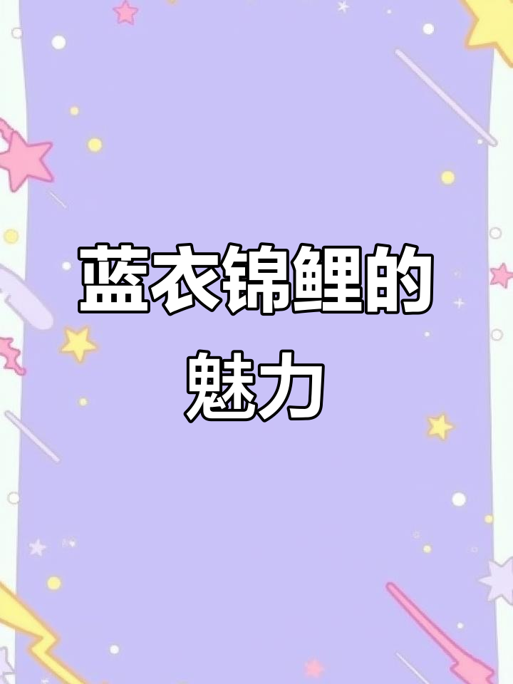 蓝衣锦鲤:红白与浅黄杂交,独特蓝色花纹惊艳观赏鱼界