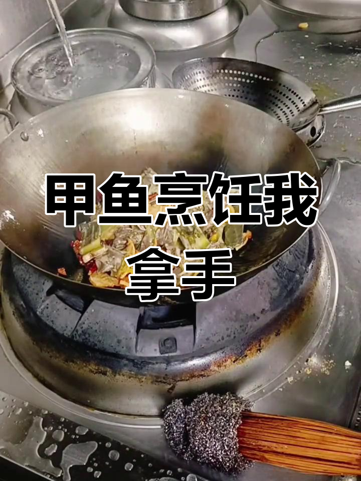 做甲鱼,我是专家