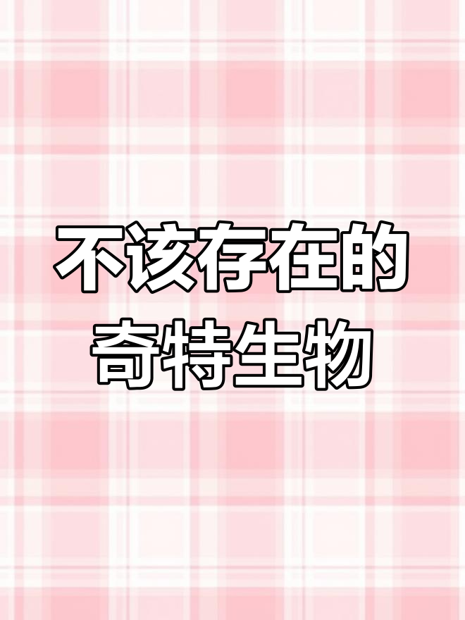 地球上的奇异生物,有些甚至不该存在