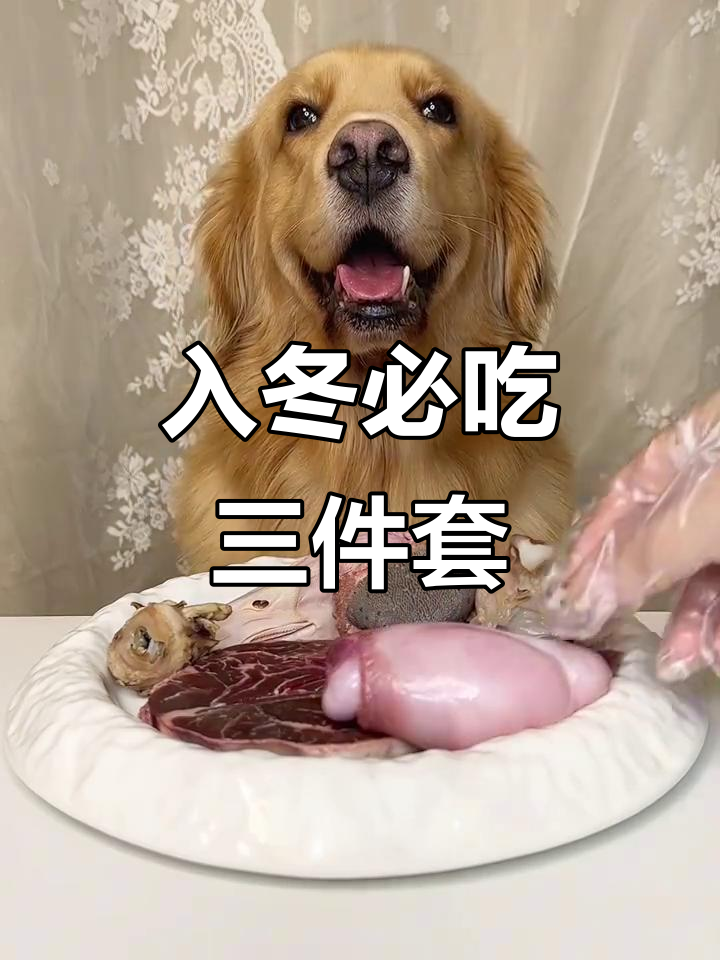 冬季爆浆美食大集合,羊眼、鸭脑壳一网打尽