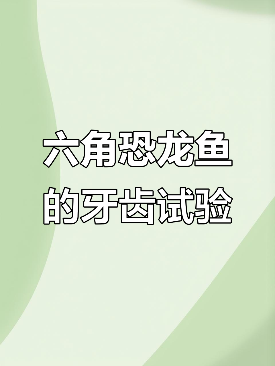 六角恐龙鱼咬人测试,竟然不痛!
