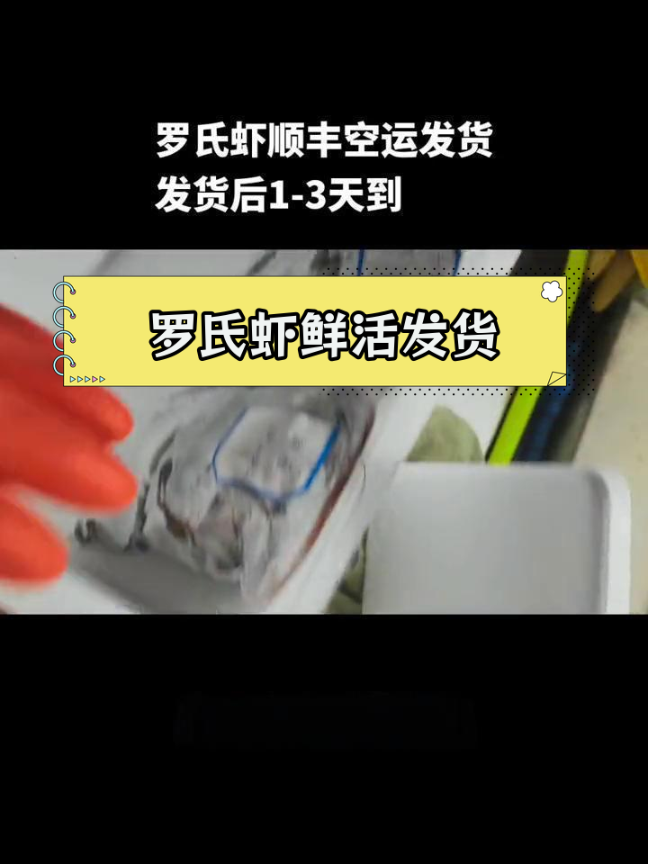 新鲜罗氏虾,顺丰空运速达