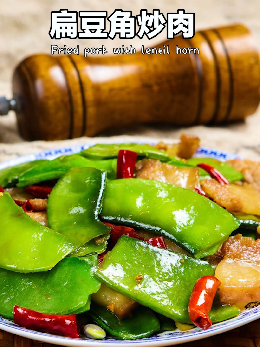 食材简单做法容易好吃下饭的扁豆角炒肉做法