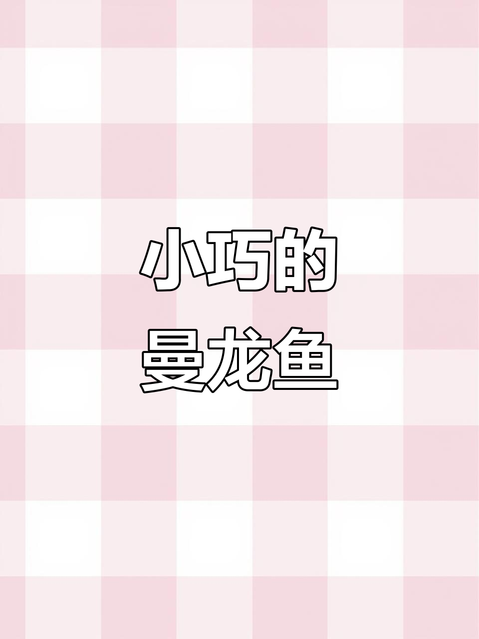 曼龙鱼:小巧夜行观赏鱼,适合新手养殖