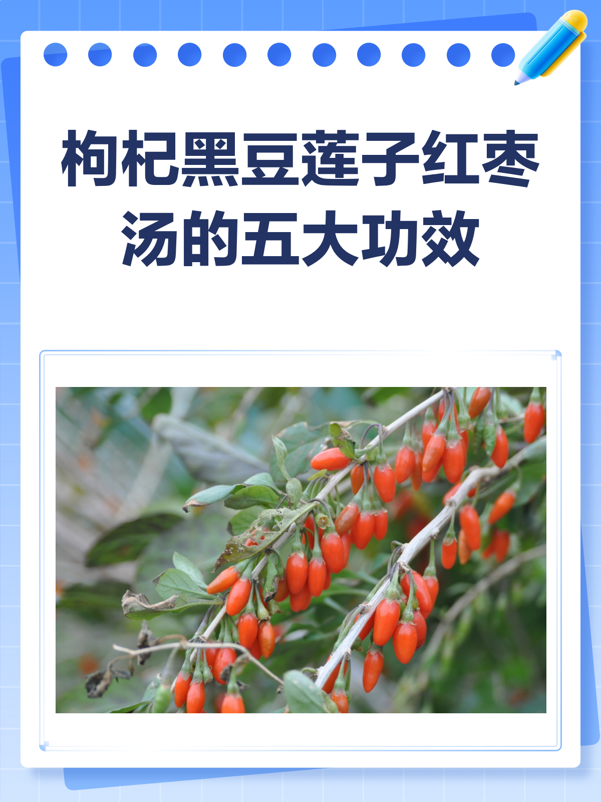 枸杞黑豆莲子红枣煮水,一碗下肚好处多多!