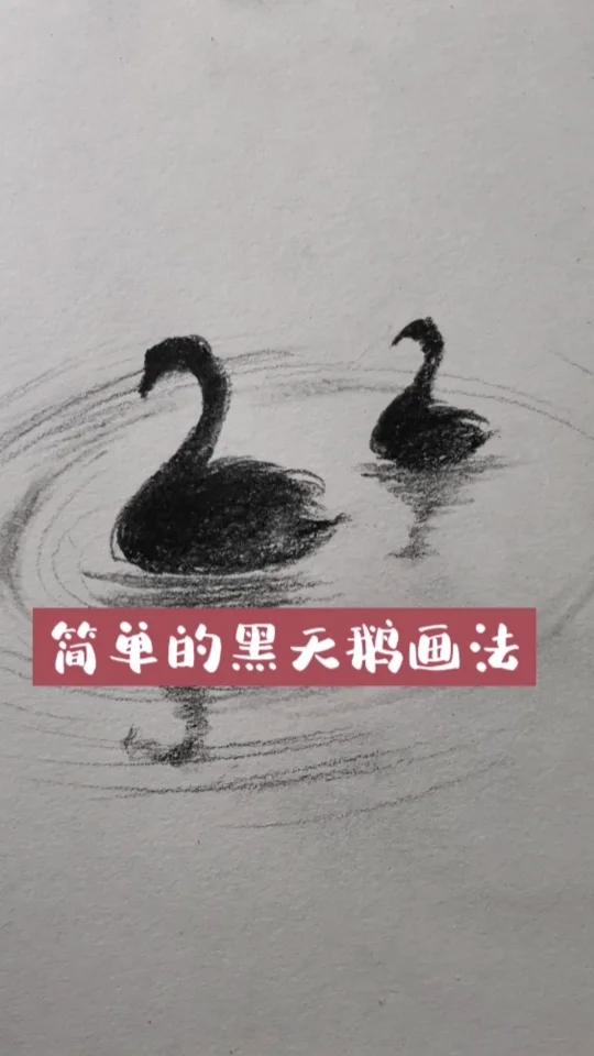 超简单的黑天鹅画法,你学会了吗?