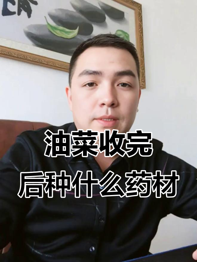 收完油菜后适合种植的药材品种,效益高又易管理