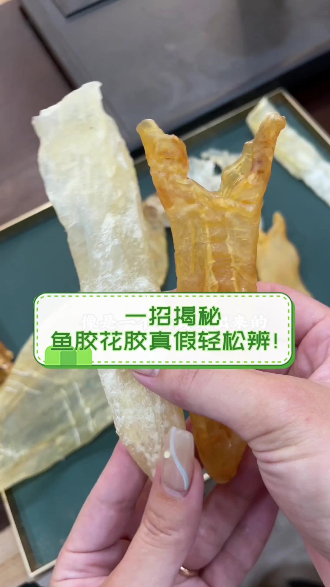 一招揭秘,鱼胶花胶真假轻松辨!