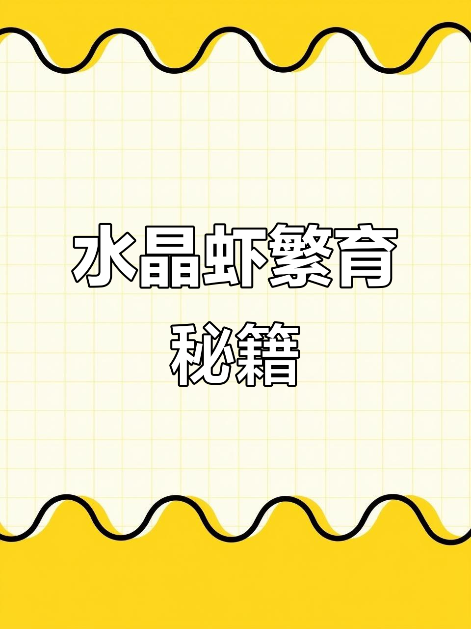 快速开缸,轻松繁殖水晶虾,让虾苗迅速爆满!