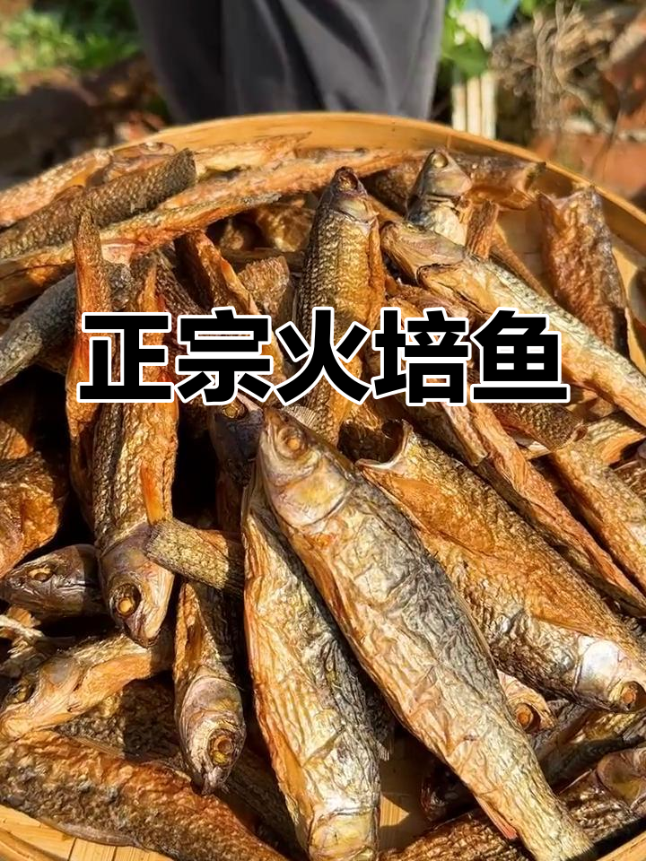 湖南正宗火焙鱼,柴火烘干米糠烟熏,香气扑鼻
