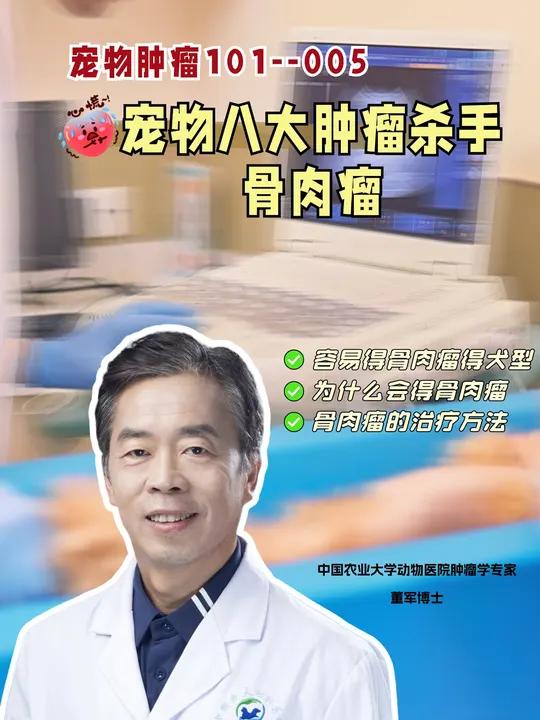 很多朋友关心的骨肉瘤问题,今天给大家详细解答一下……宠物 宠物医生 兽医 宠物肿瘤 狗