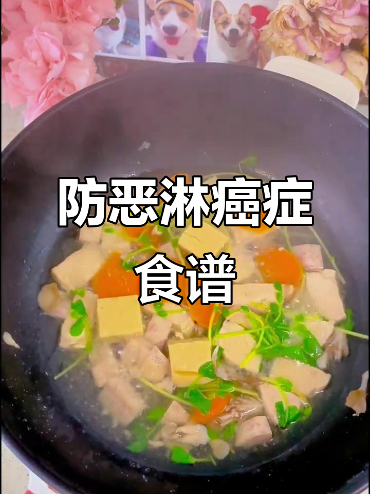 鸡肉芋头煮,预防狗狗恶性淋巴肿瘤的抗癌食谱