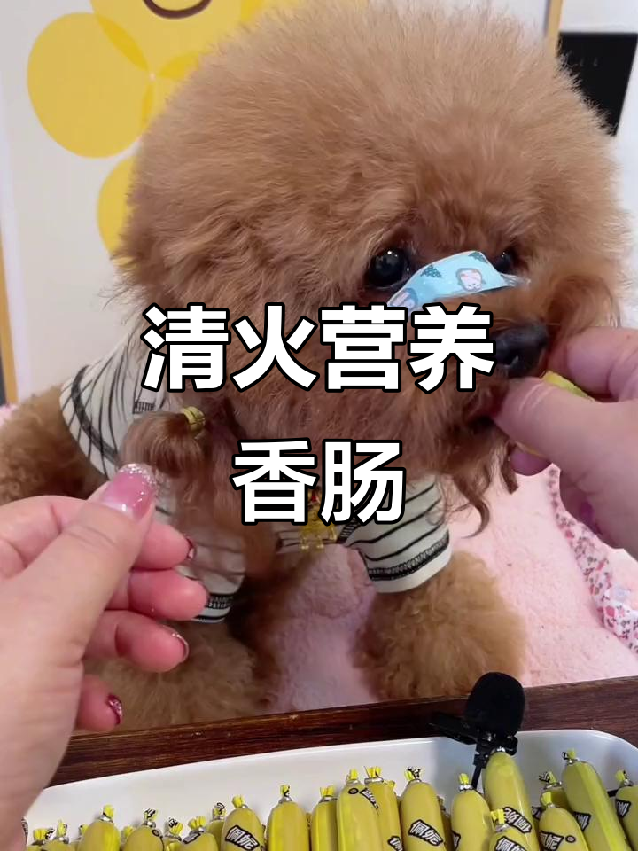 鸭肉香肠,清火又美味,狗狗爱吃,泪痕不见了!