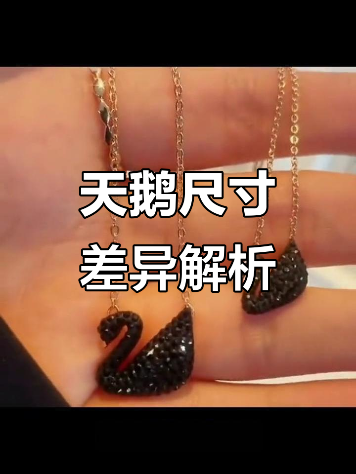 施华洛世奇天鹅项链:大小号区别与精致感提升