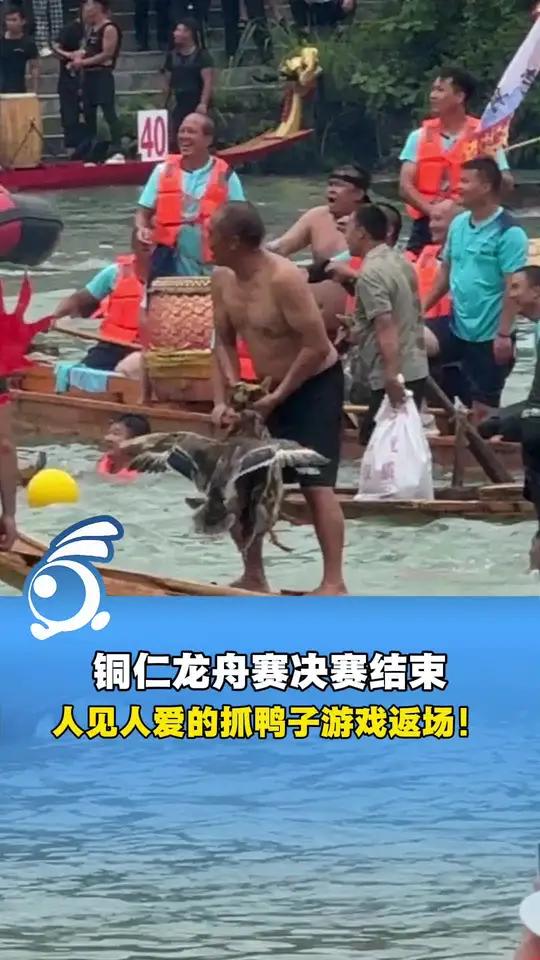 铜仁龙舟赛决赛结束,人见人爱的抓鸭子游戏返场!