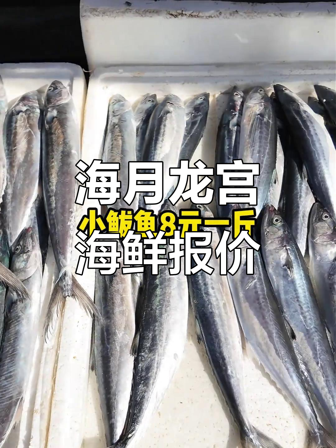 9月18日海月龙宫海鲜市场行情,梭子蟹、大鲅鱼等价格一览