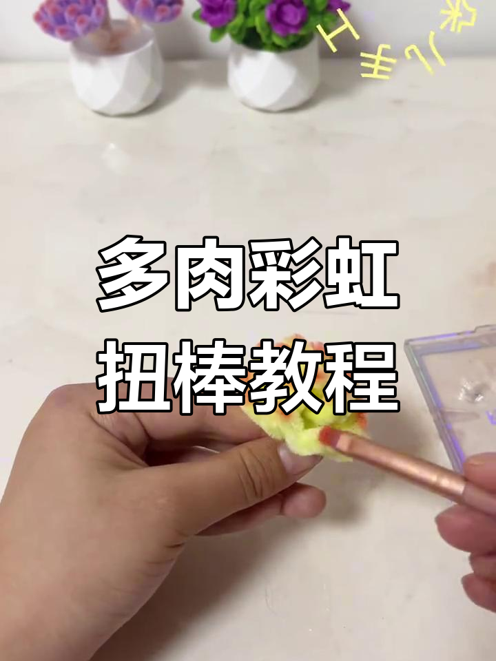 简单步骤教你做扭棒多肉虹之玉锦,色彩丰富超有趣