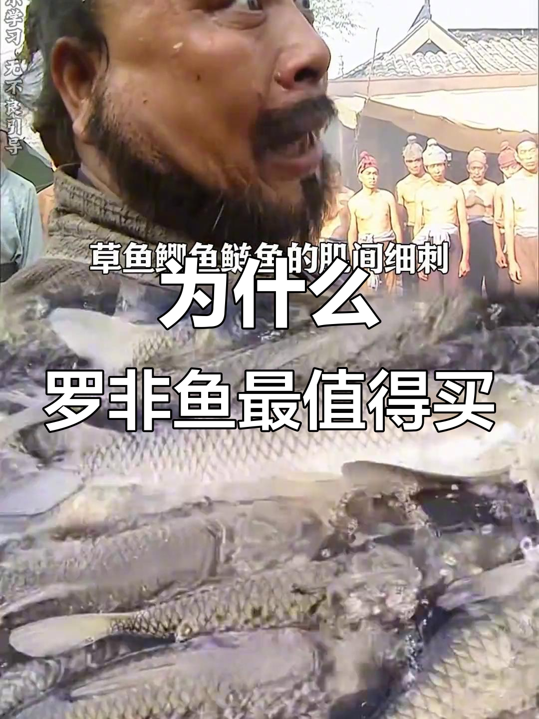 罗非鱼为何是平价淡水鱼的王者？无刺又营养，性价比超高