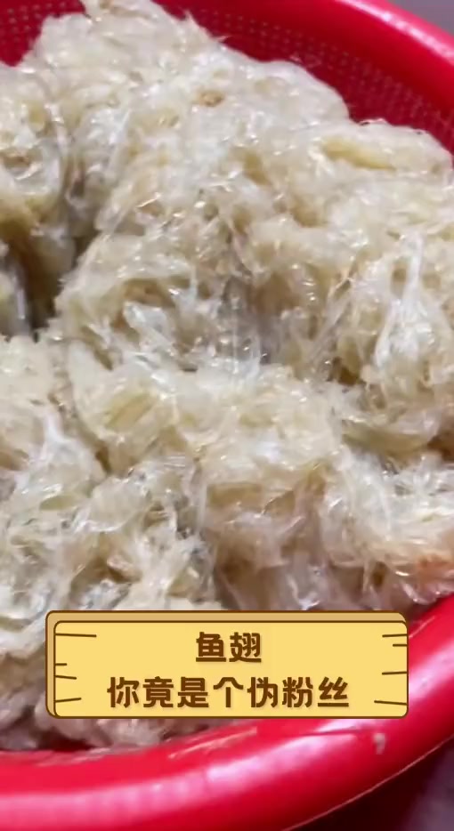 鱼翅,你竟是个伪粉丝