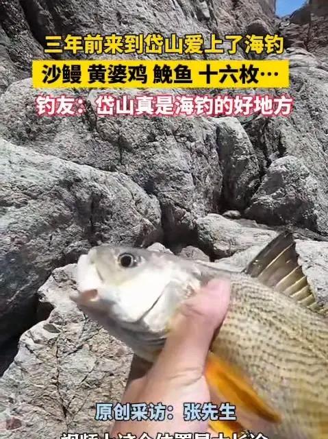 三年前来到岱山爱上了海钓,沙鳗 黄婆鸡 鮸鱼 十六枚……钓友:岱山真是海钓的好地方。视频来
