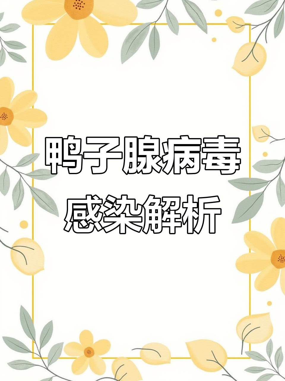 肉鸭养殖常见腺病毒症状与应对方法