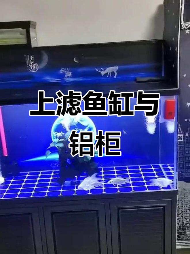 天津锦绣家园水族用品:超美上滤鱼缸搭配全铝底柜
