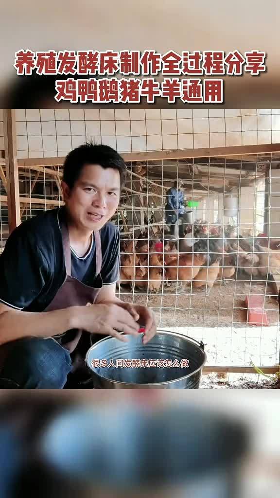 养殖 养鸡 鸡鸭鹅养殖 农村散养土鸡 发酵床 懒人养殖发酵床制作流程