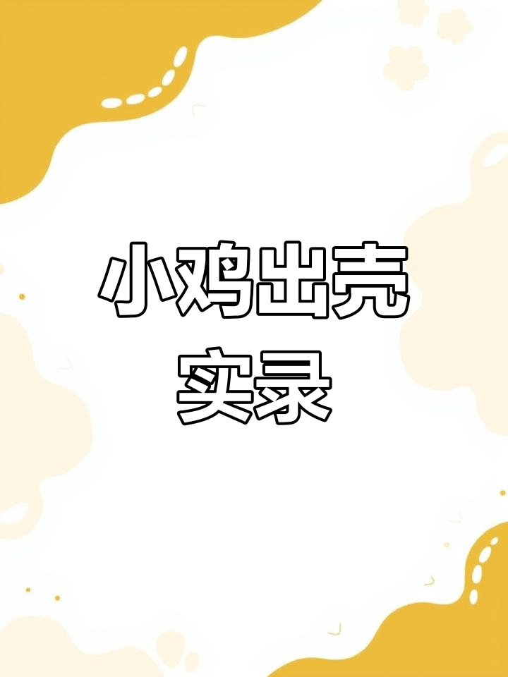 小鸡孵化全过程，24小时破壳而出