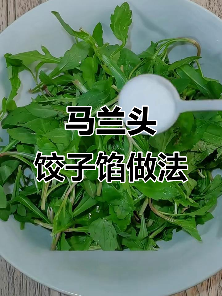 麻兰头饺子馅这样调,鲜美脆嫩不流水