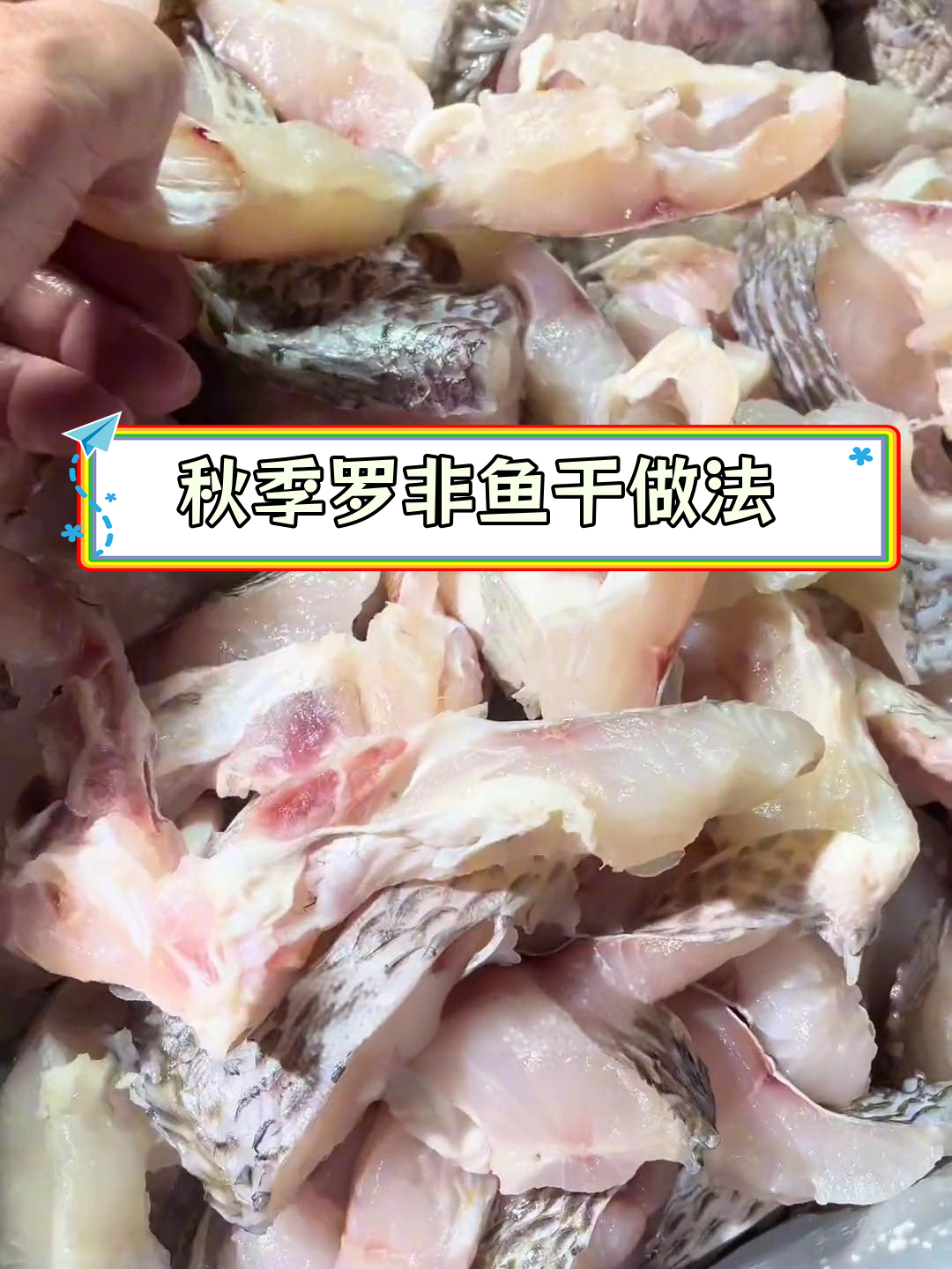 罗非鱼干制作全攻略,秋风起晒最合适