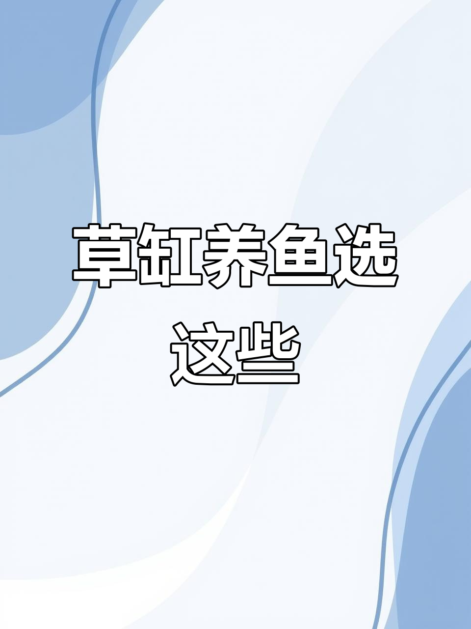 草缸养鱼全攻略：斗鱼、斑马鱼等适合品种推荐