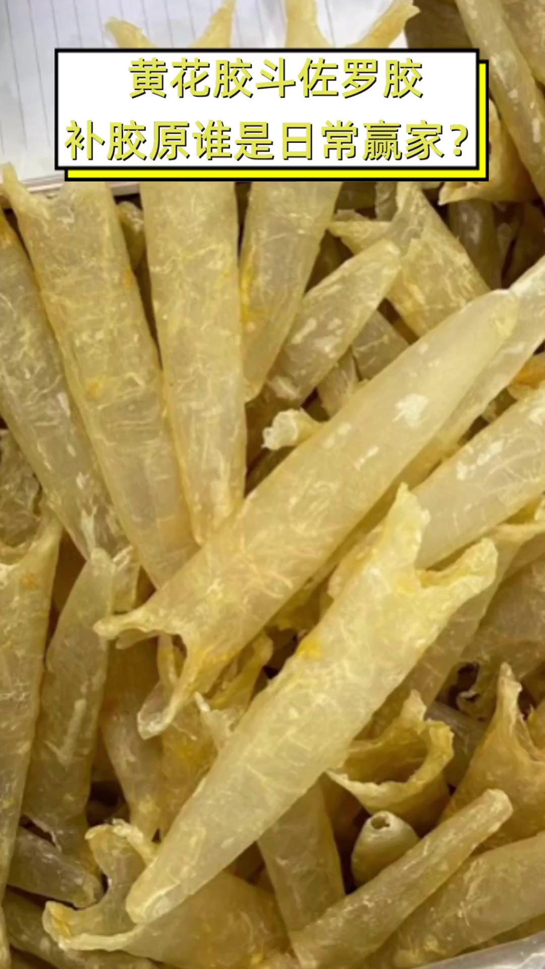 黄花胶斗佐罗胶,补胶原谁是日常赢家?
