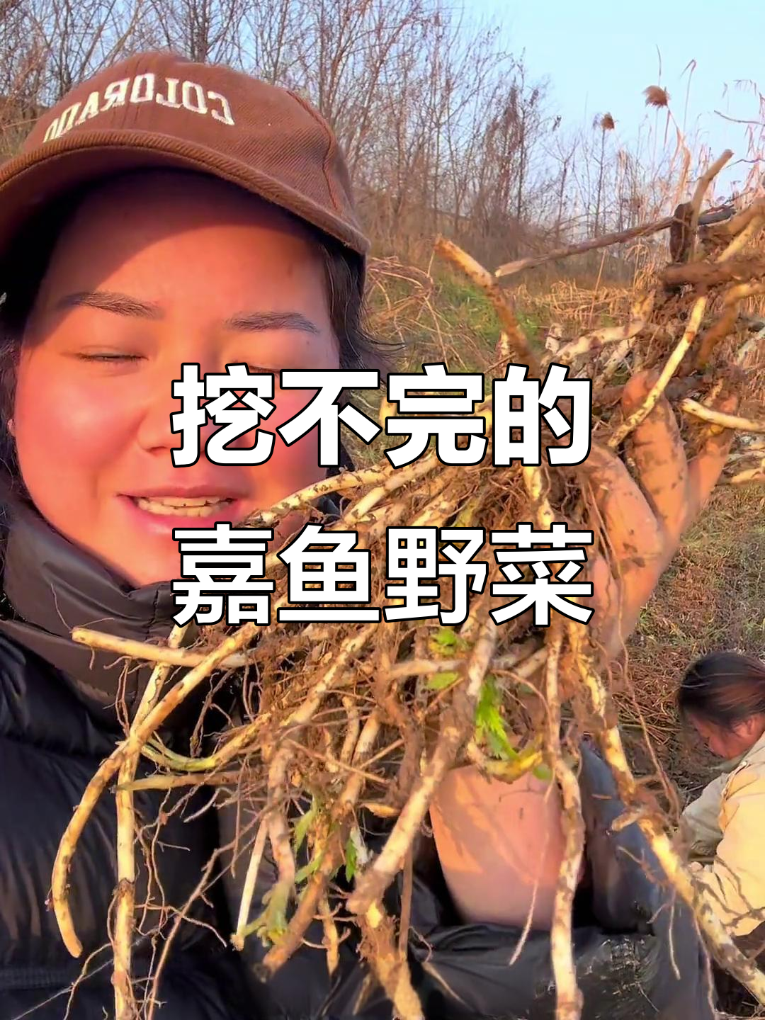 嘉鱼野菜大丰收,腊菜腻了换泥蒿根尝尝