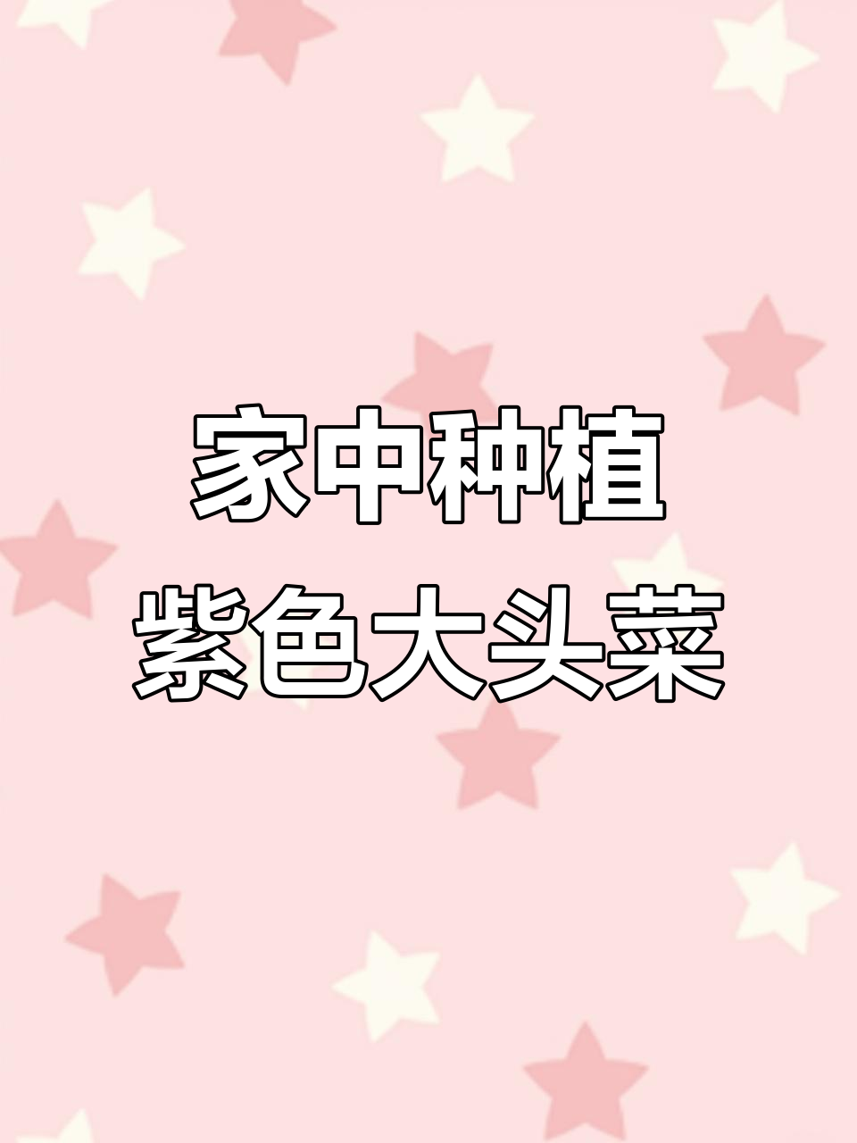 阳台小院种紫色大头菜,简单几步教你搞定