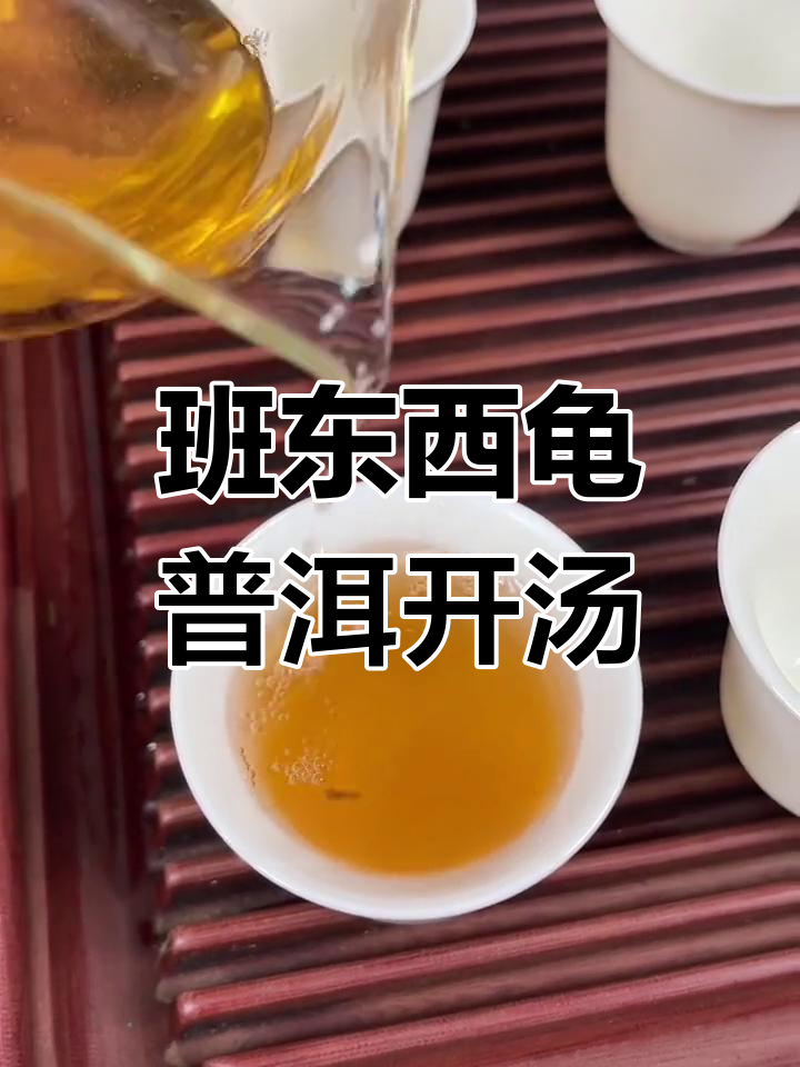 2014年班东西龟普洱茶开汤解析,详细讲解冲泡技巧